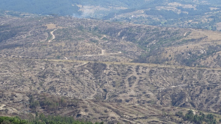 Година след пожара над дефилето, сечта оголи еко-катастрофата, все още няма дело