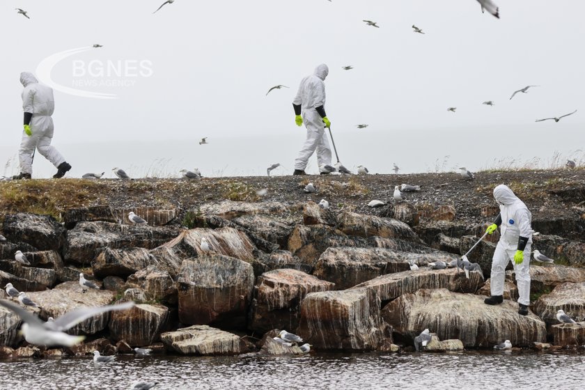 France raises bird flu risk to "maximum"