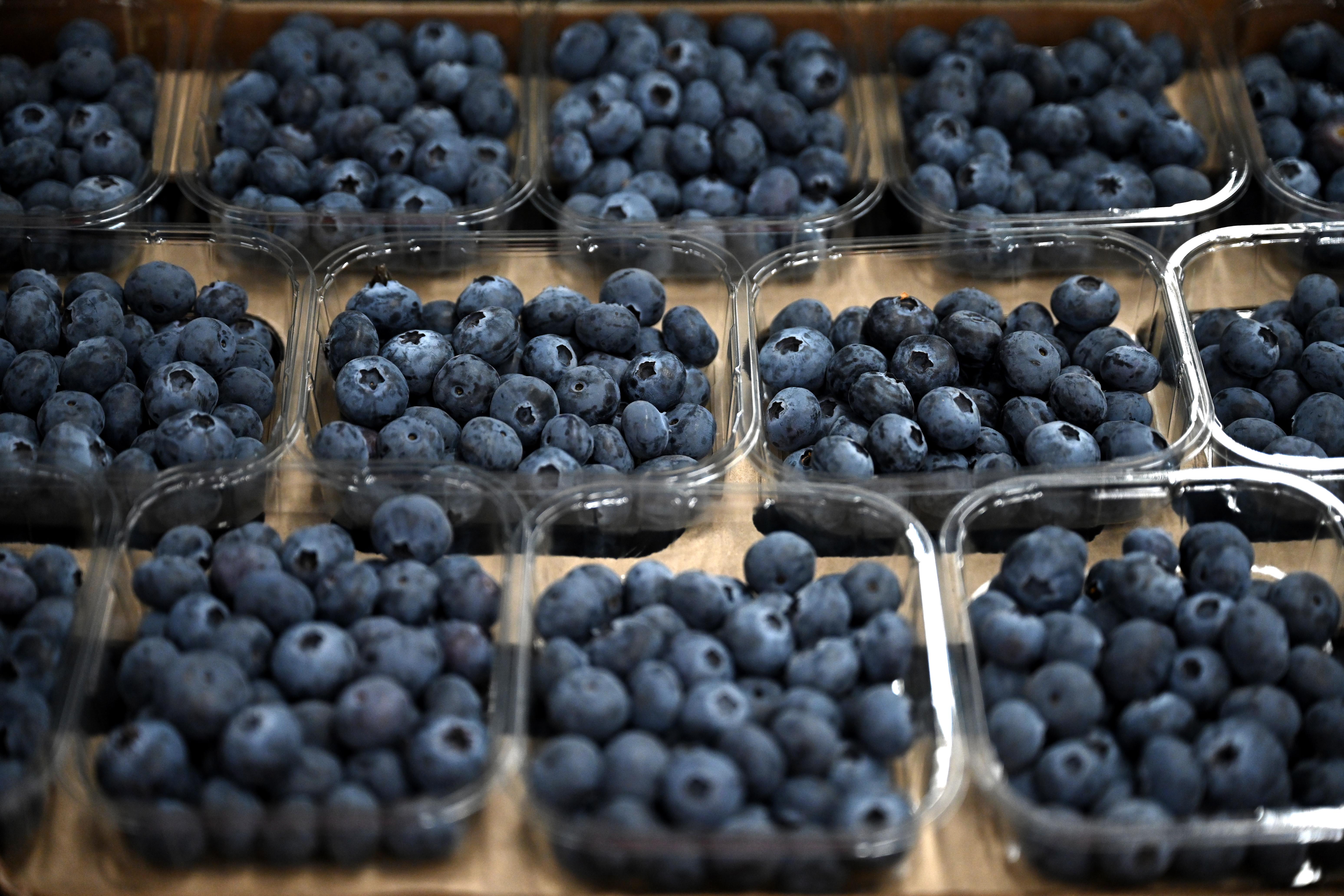 Blueberries are the most important superfood for the brain