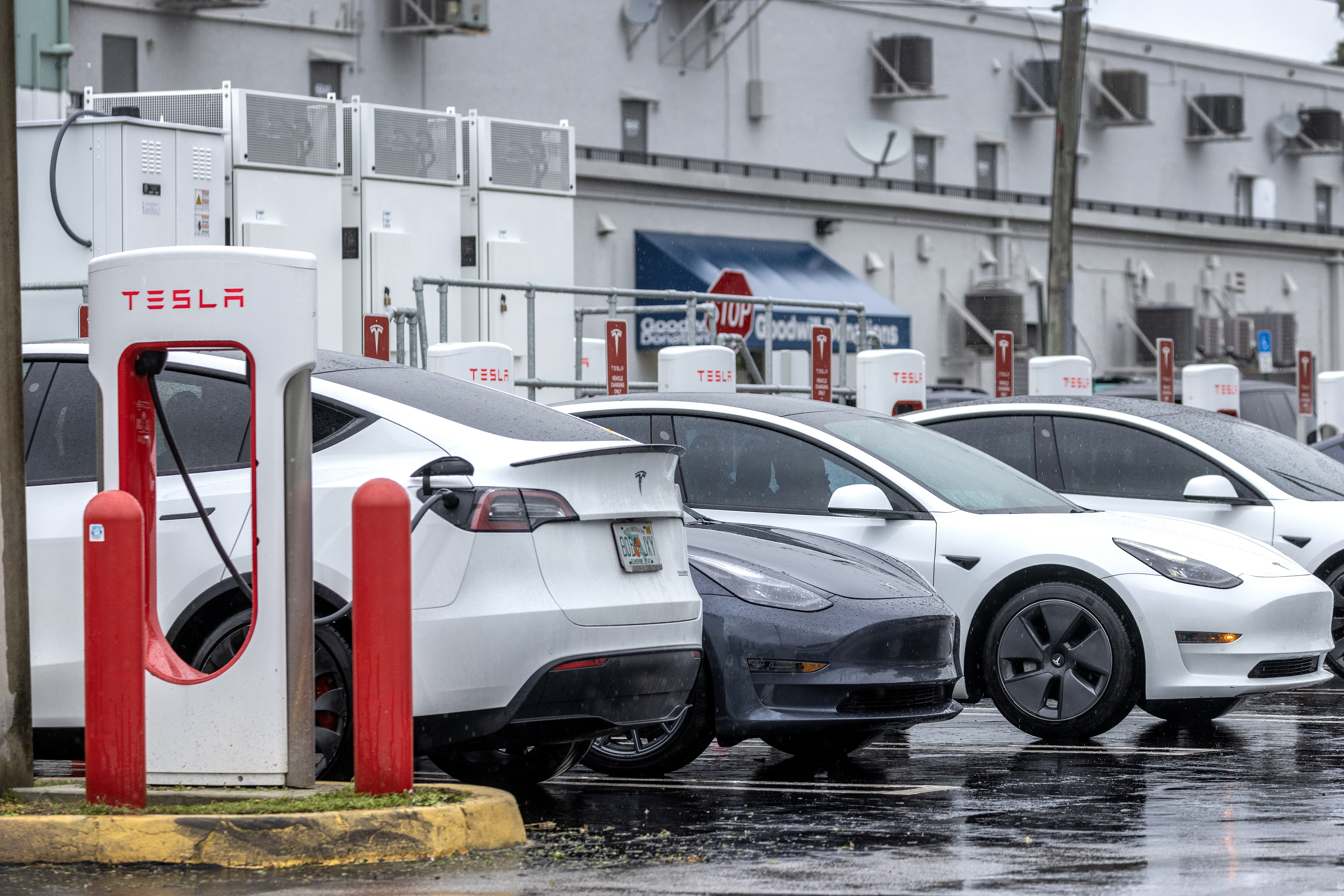 The EIB granted a loan for 1,530 charging stations for electric cars in Bulgaria