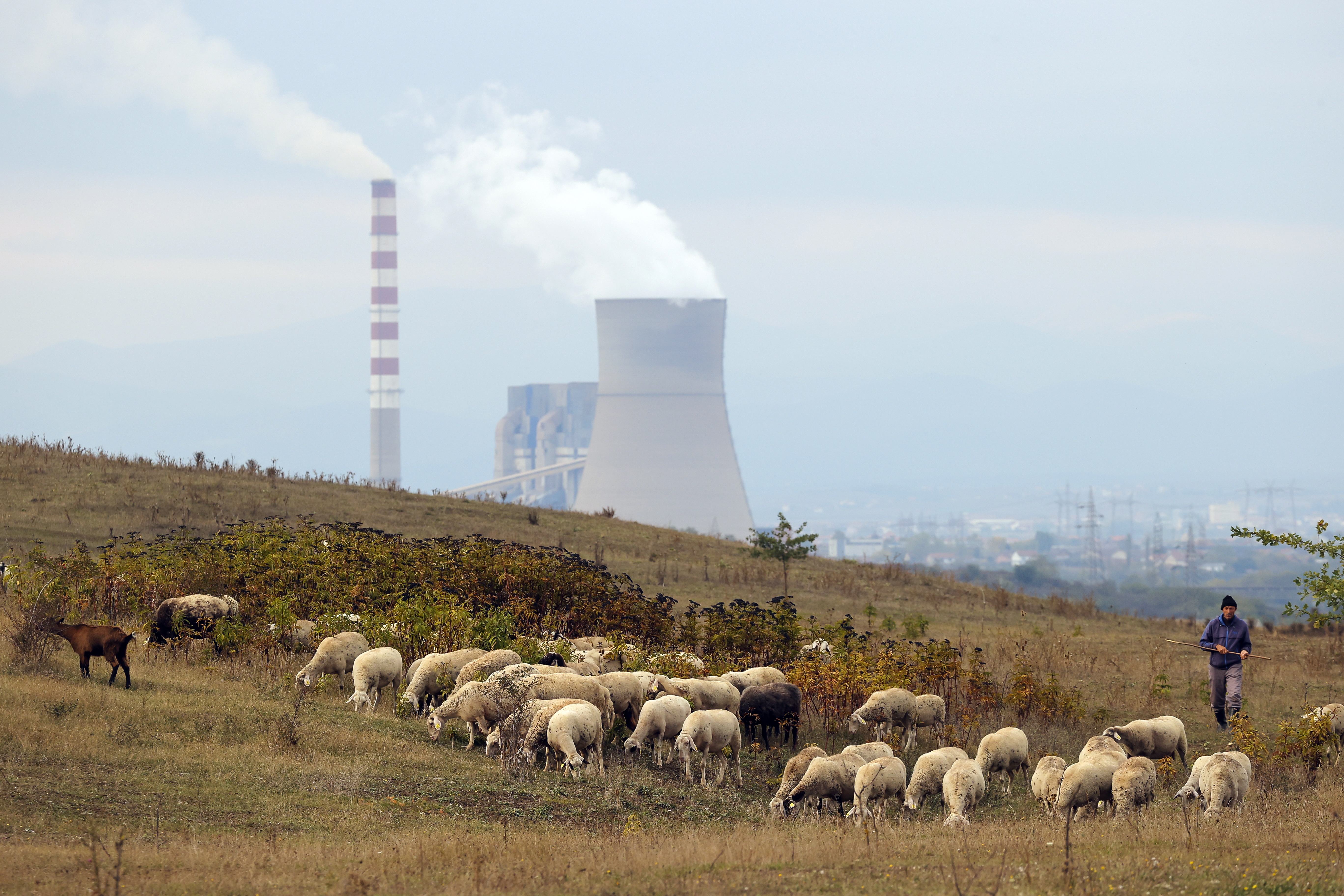 Europe set a new temperature record