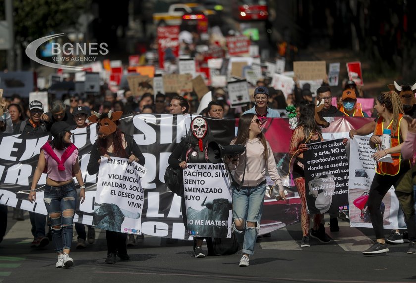 Mass protests against bullfighting in Mexico City