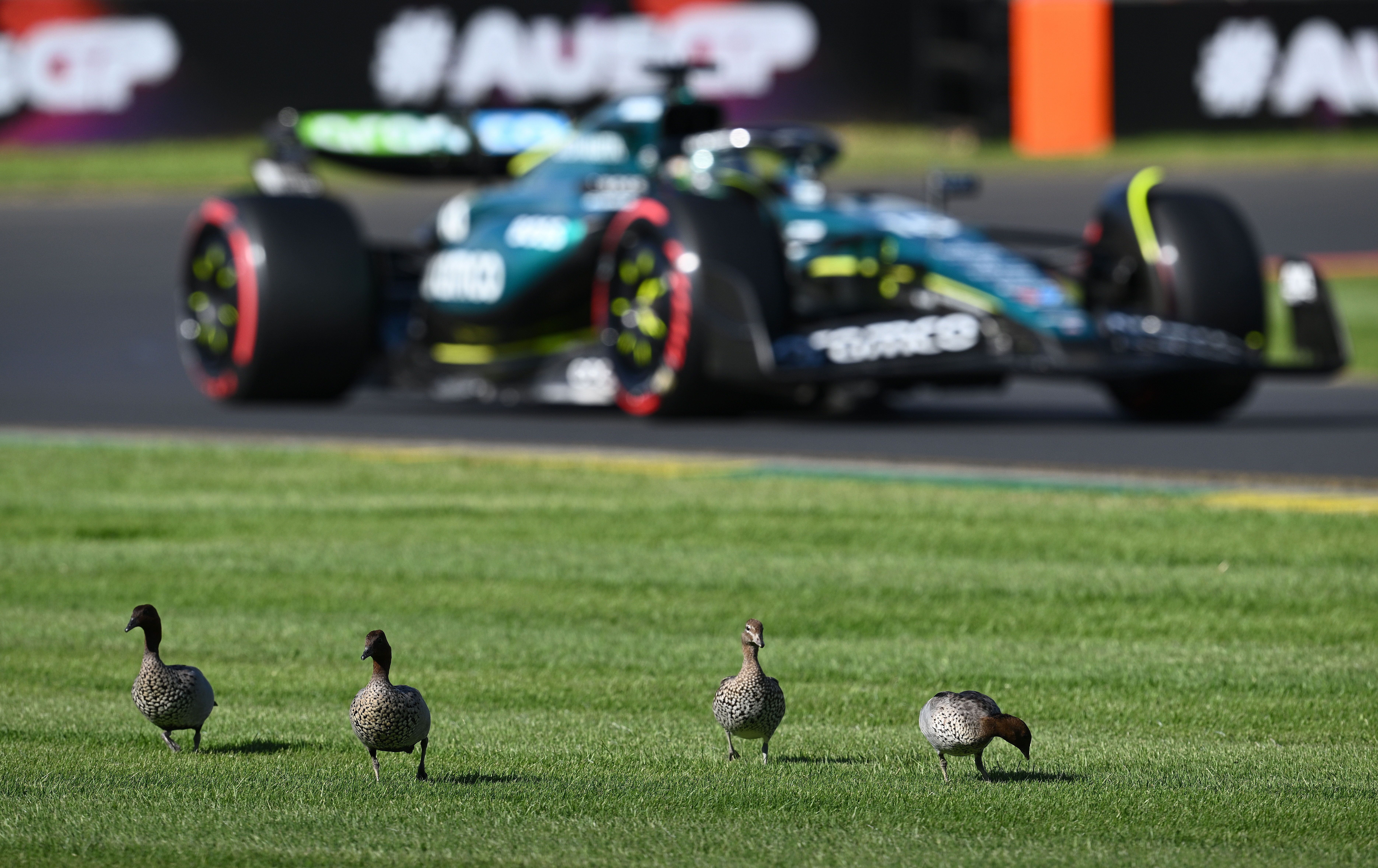 Verstappen with third consecutive pole position in F1