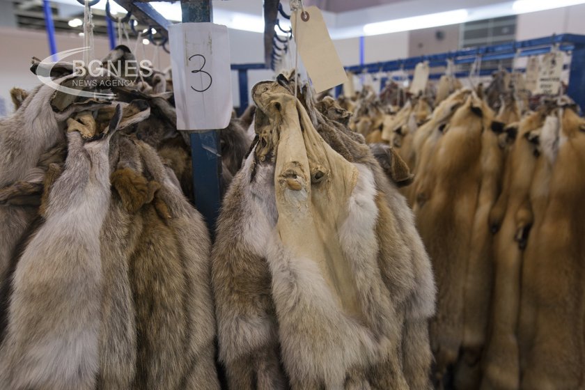 Copenhagen Fashion Week will ban exotic skins