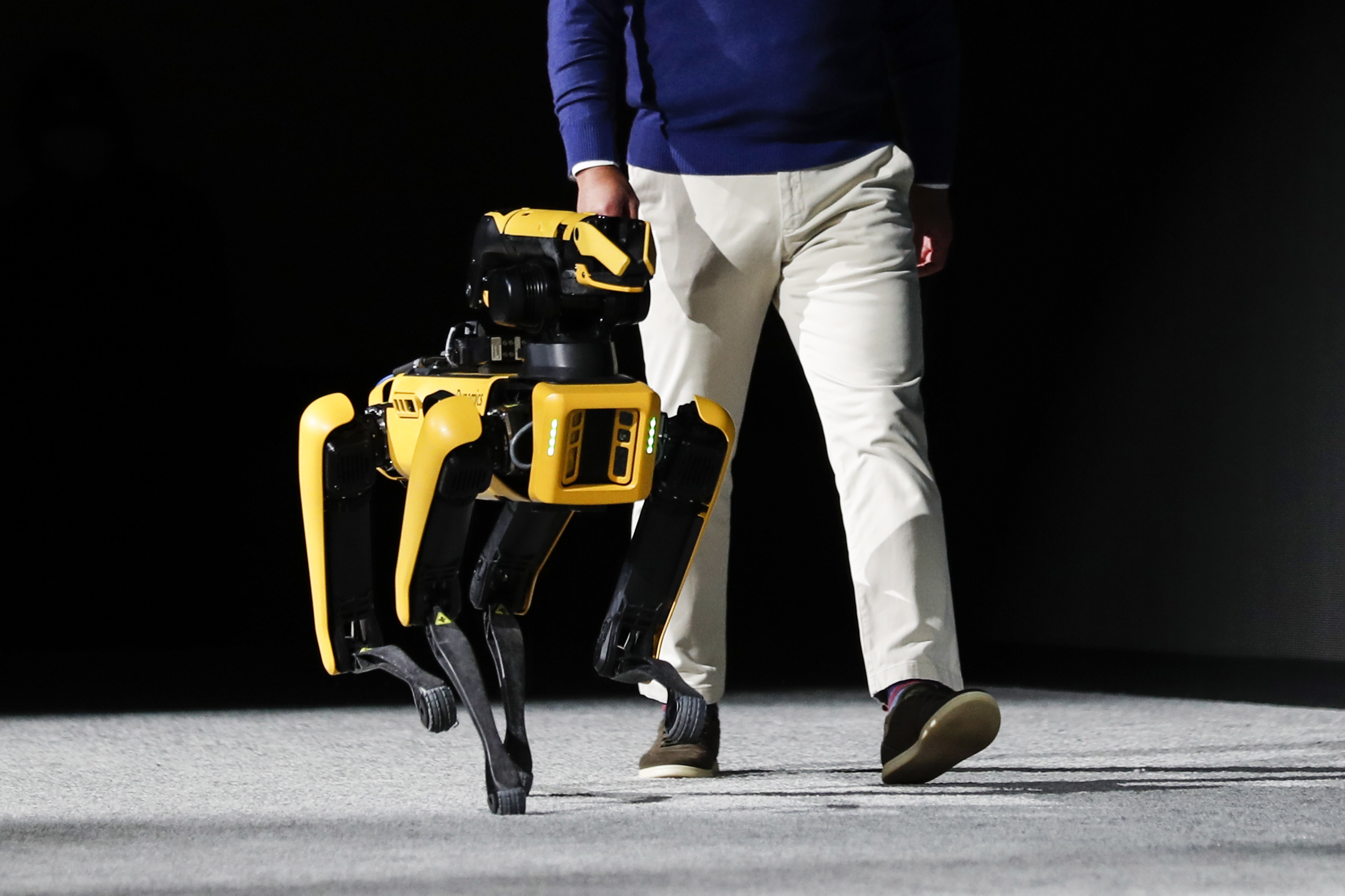 NASA is teaching a robot dog how to walk on the moon