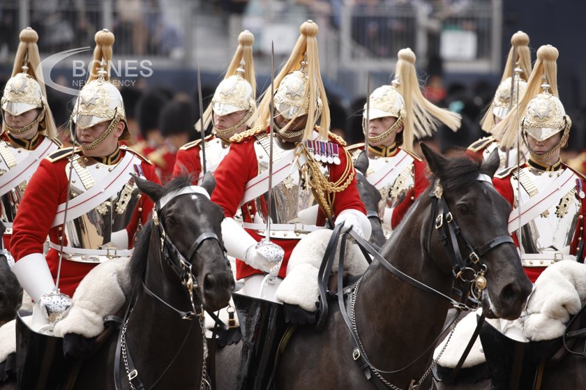 Runaway army horses injure four people in London