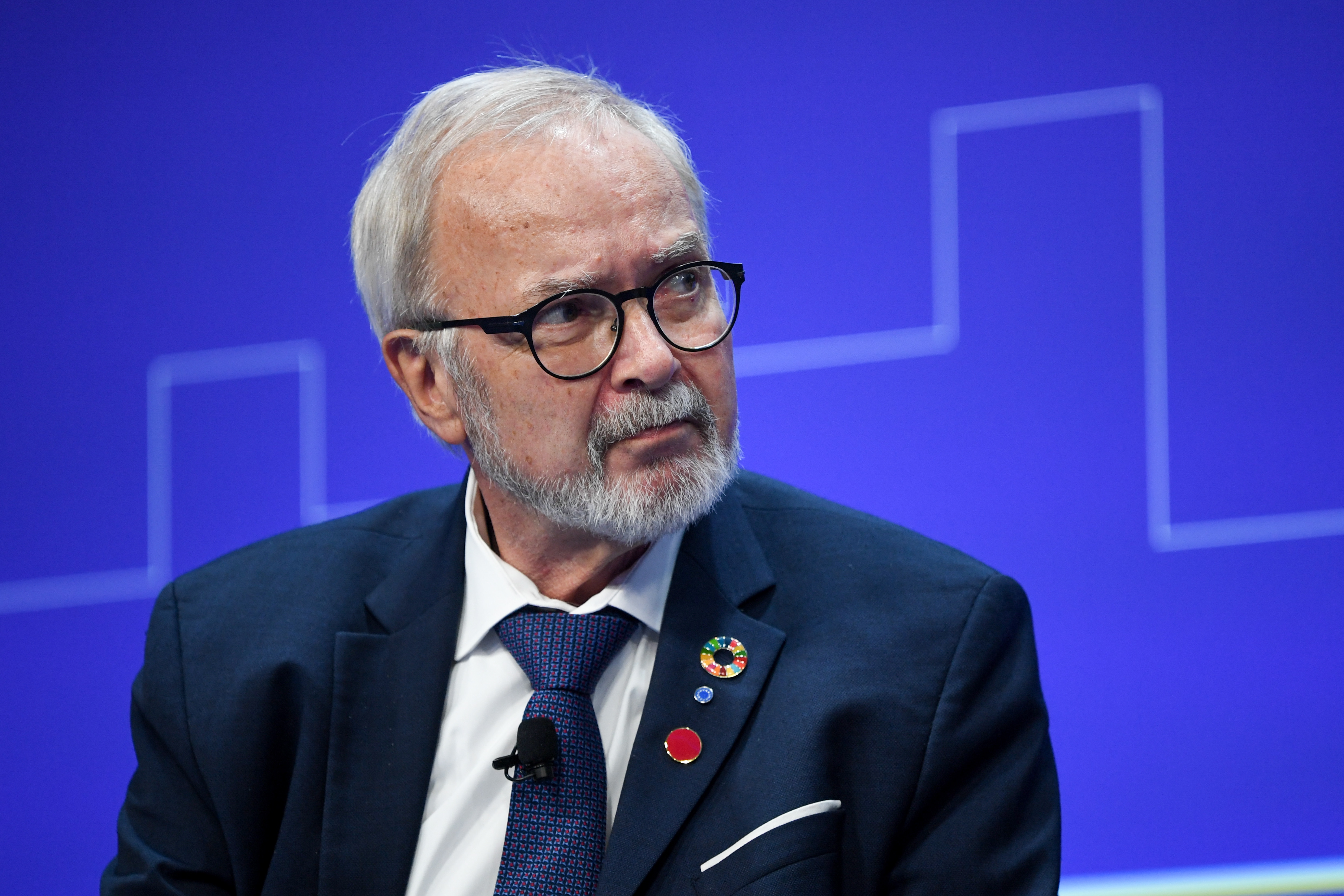 The European Prosecutor's Office is investigating former EIB chief Werner Hoyer for corruption