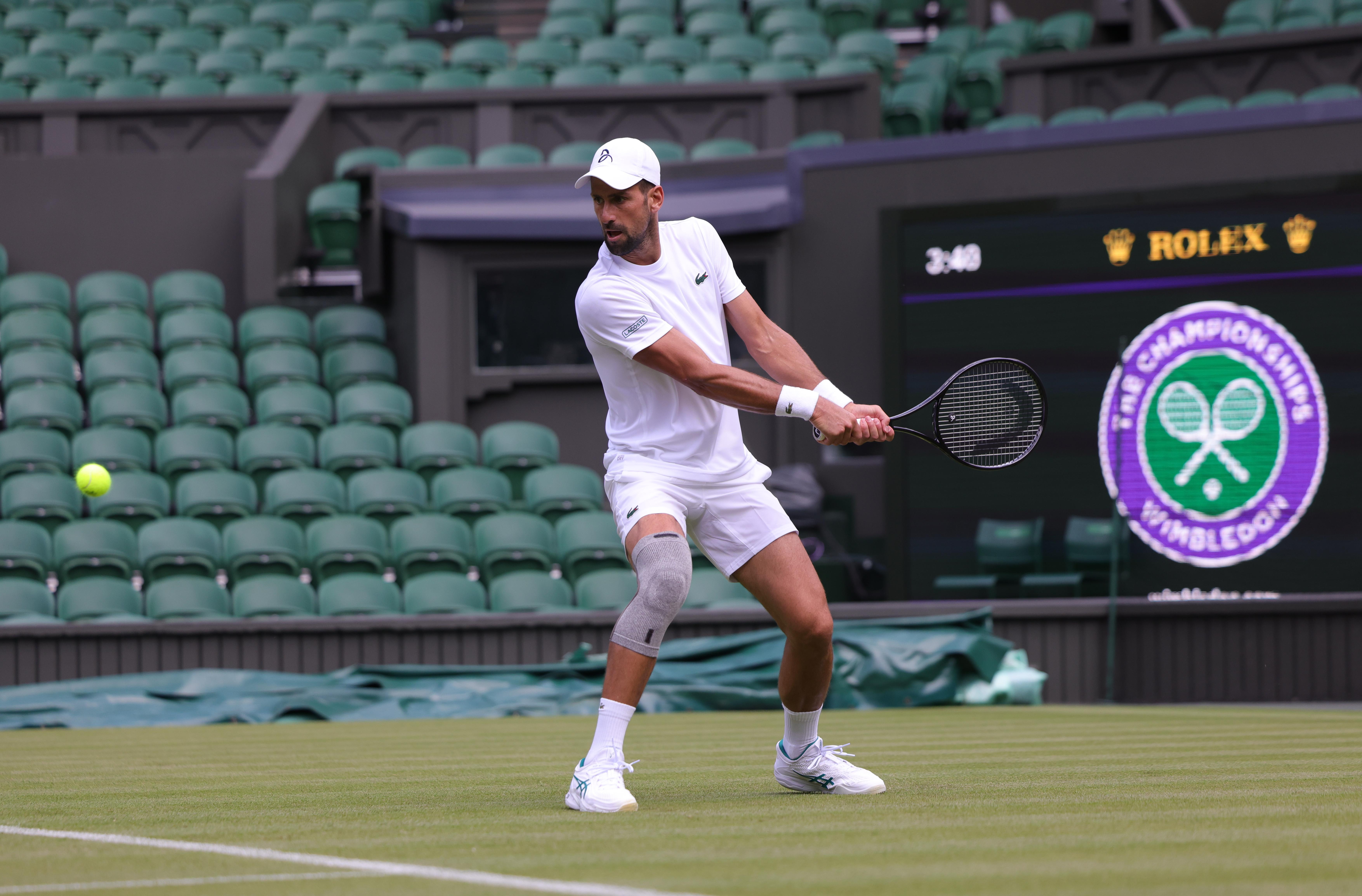 Djokovic and Murray in Wimbledon main draw despite fitness concerns