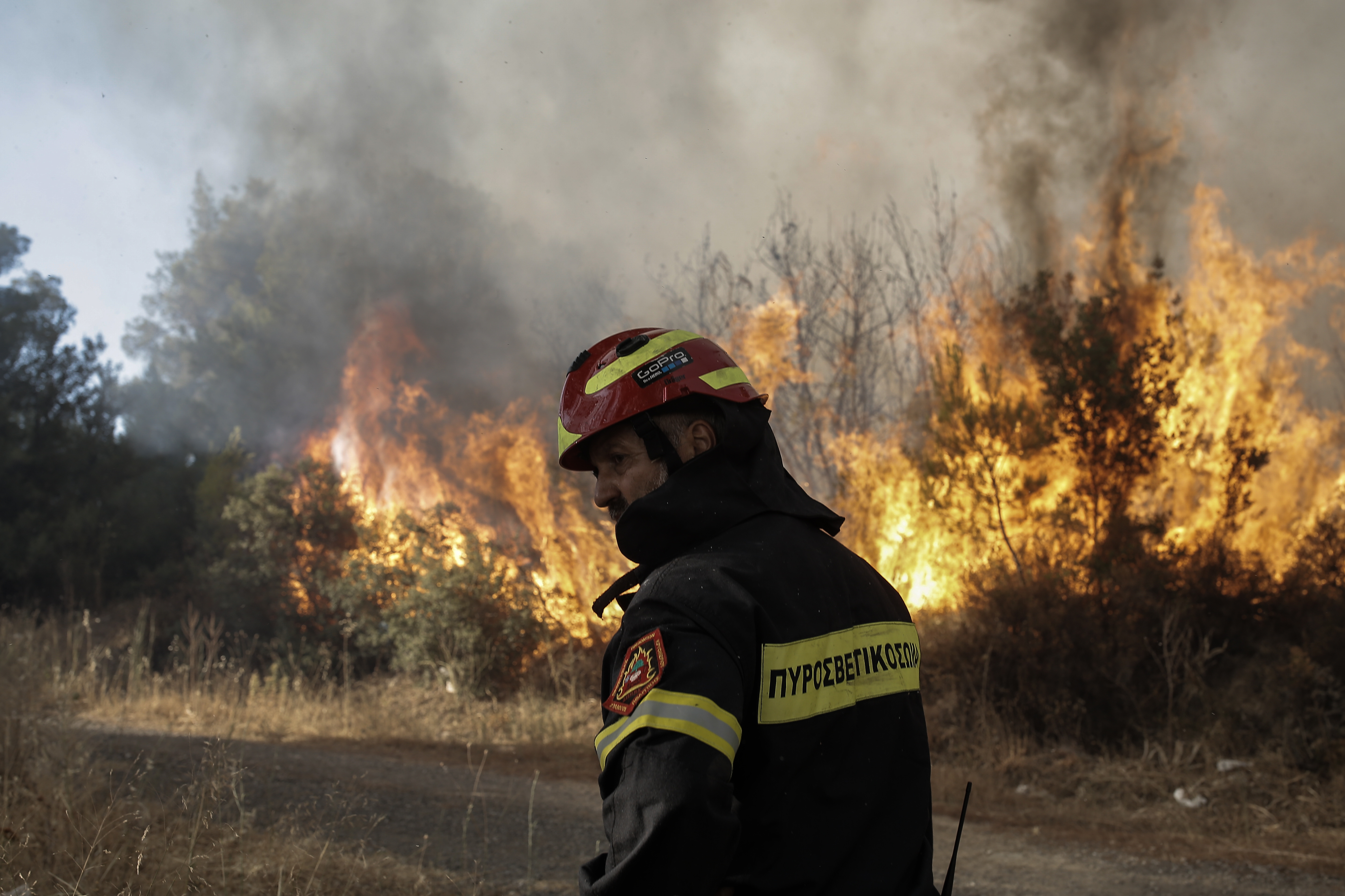 A record number of forest fires were recorded in the Amazon in 2024