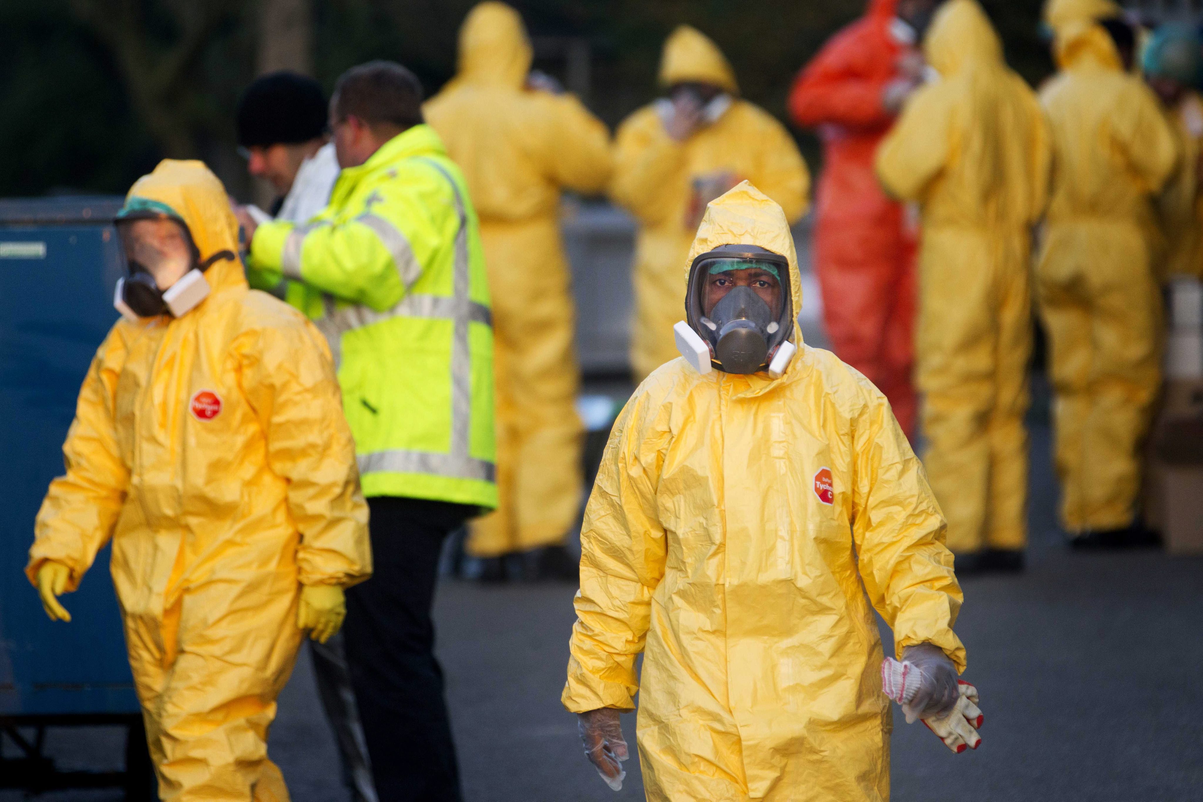 4 new cases of bird flu in humans in the US