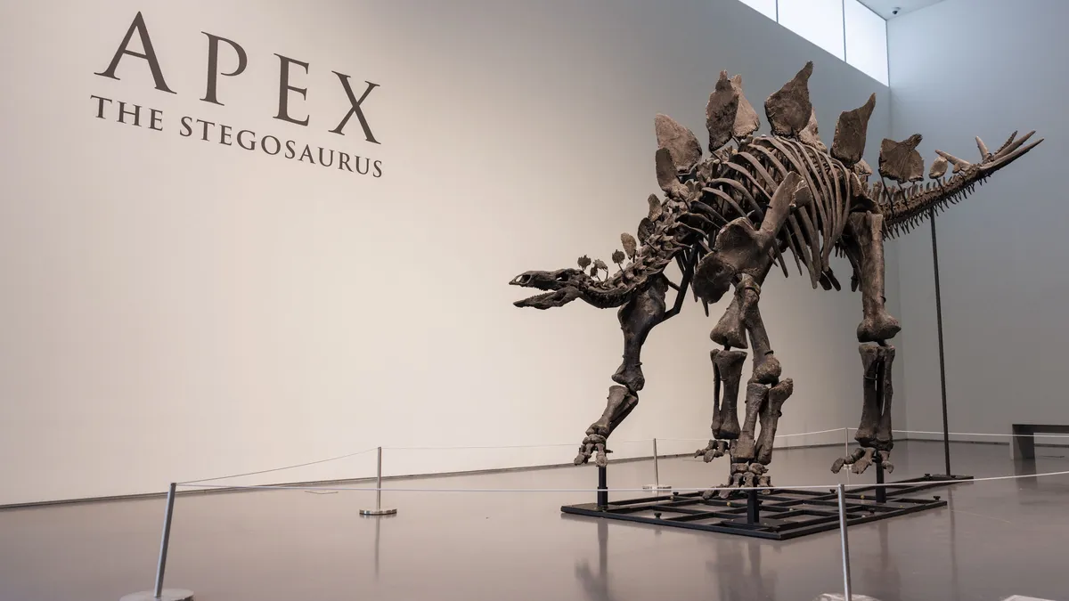 A dinosaur skeleton broke an auction record by selling for $44.6 million in New York