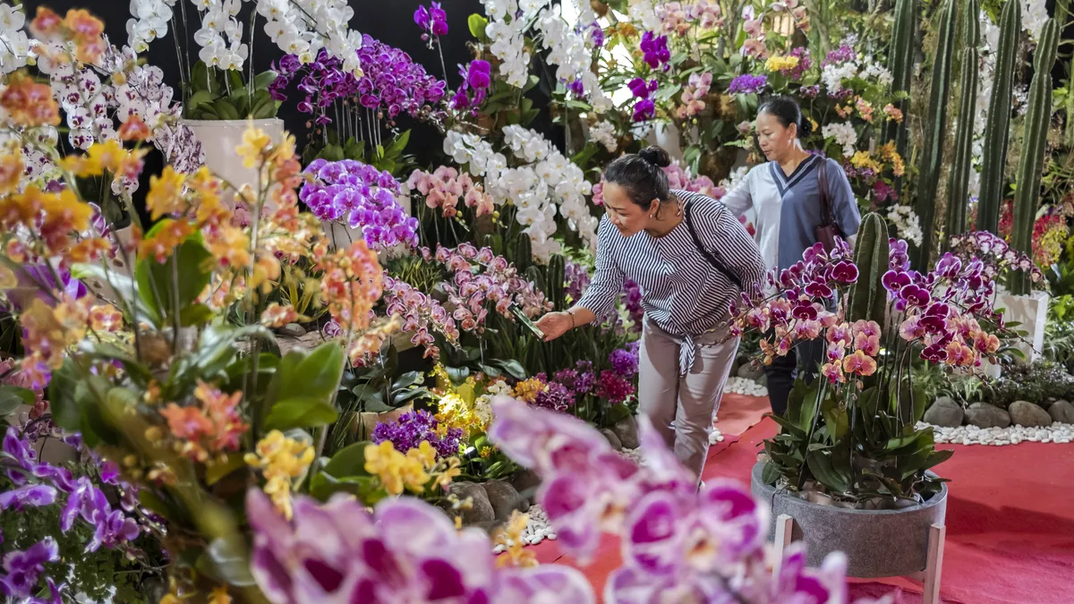 Orchid reserve in Colombia resurrects endangered species