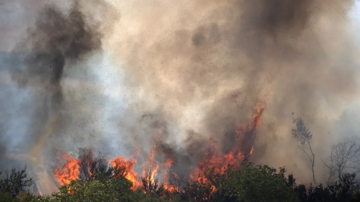 EU mobilises support to fight forest fires in Bulgaria, North Macedonia and Albania