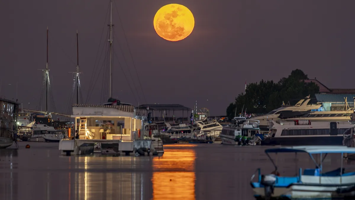 The full moon in August will be a rare Blue Supermoon