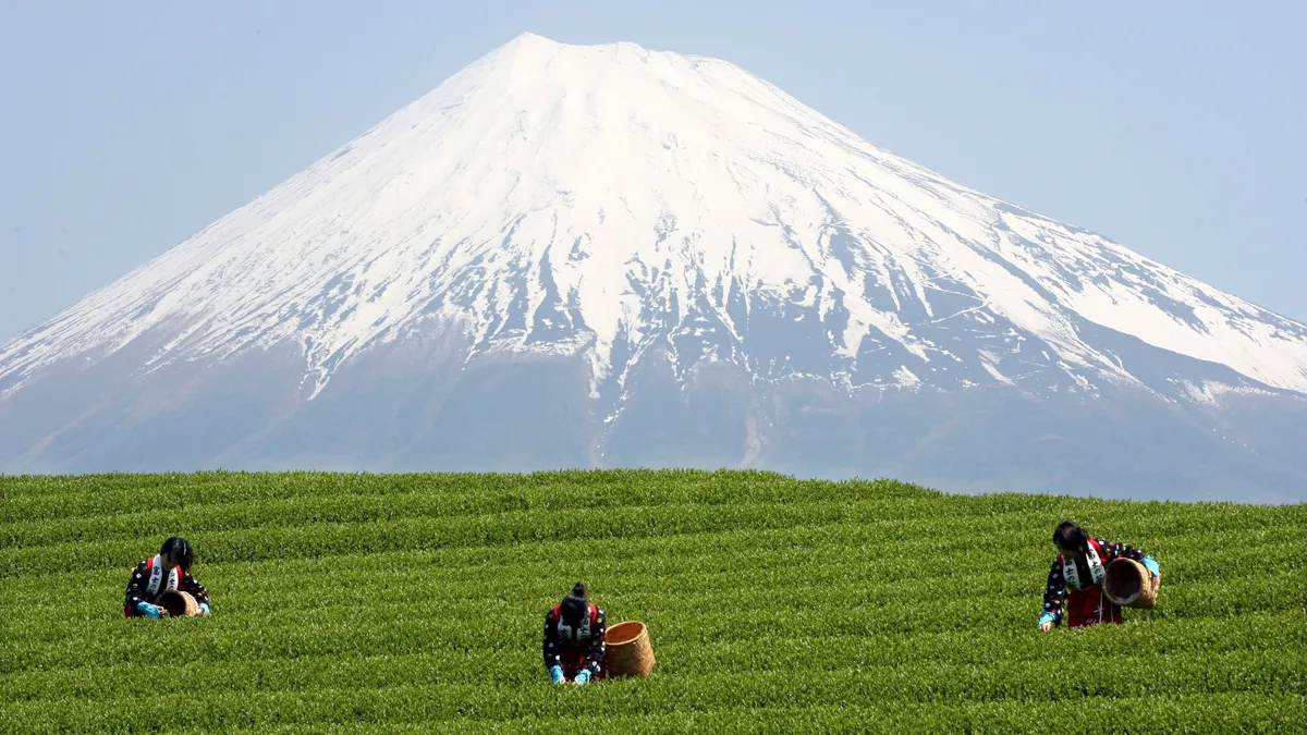 Japan has removed the anti-tourist barrier obscuring the view of Mount Fuji