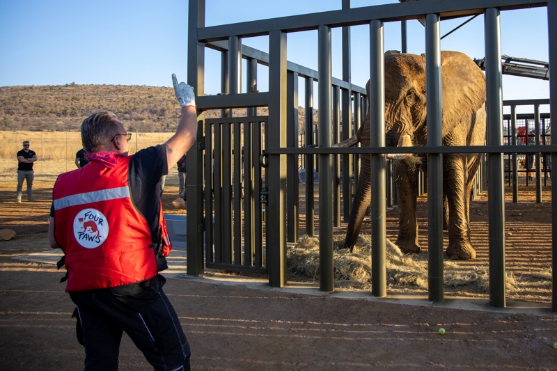 South Africa's National Zoo releases its last elephant