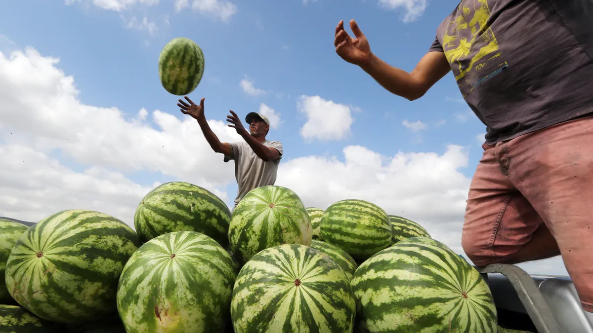 Mexicans disguised 2 tons of the drug as watermelons at the US border