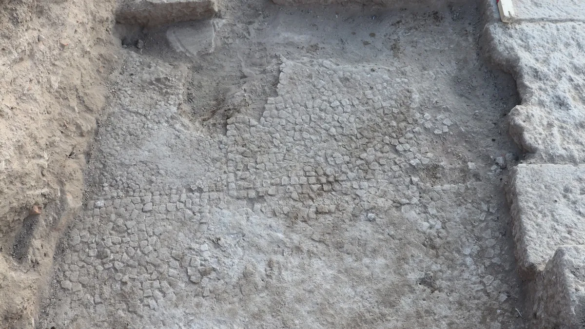 Archaeologists begin uncovering building with floor mosaic at Heraclea Syntytica