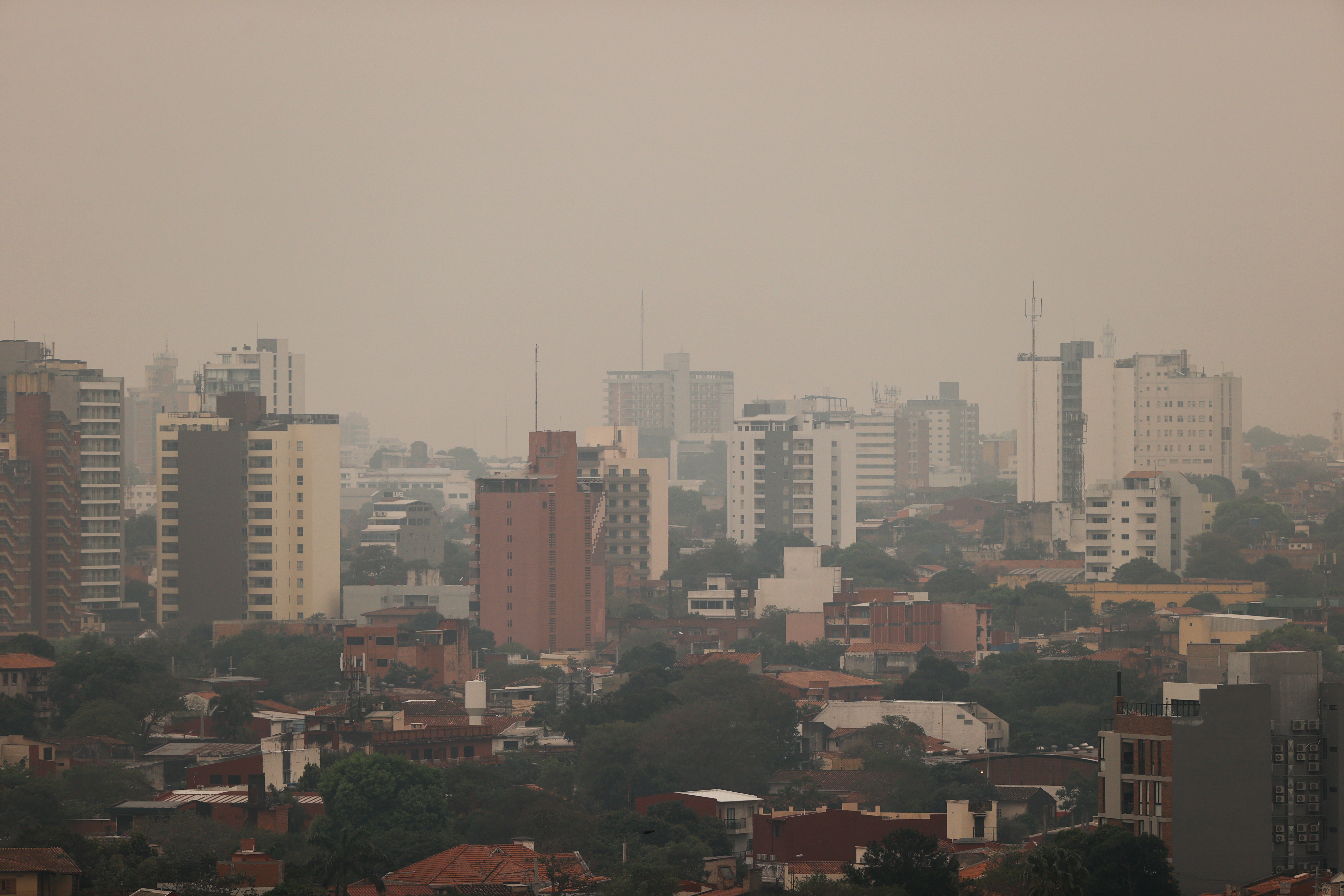 Air pollution can cause permanent damage to newborns' brains