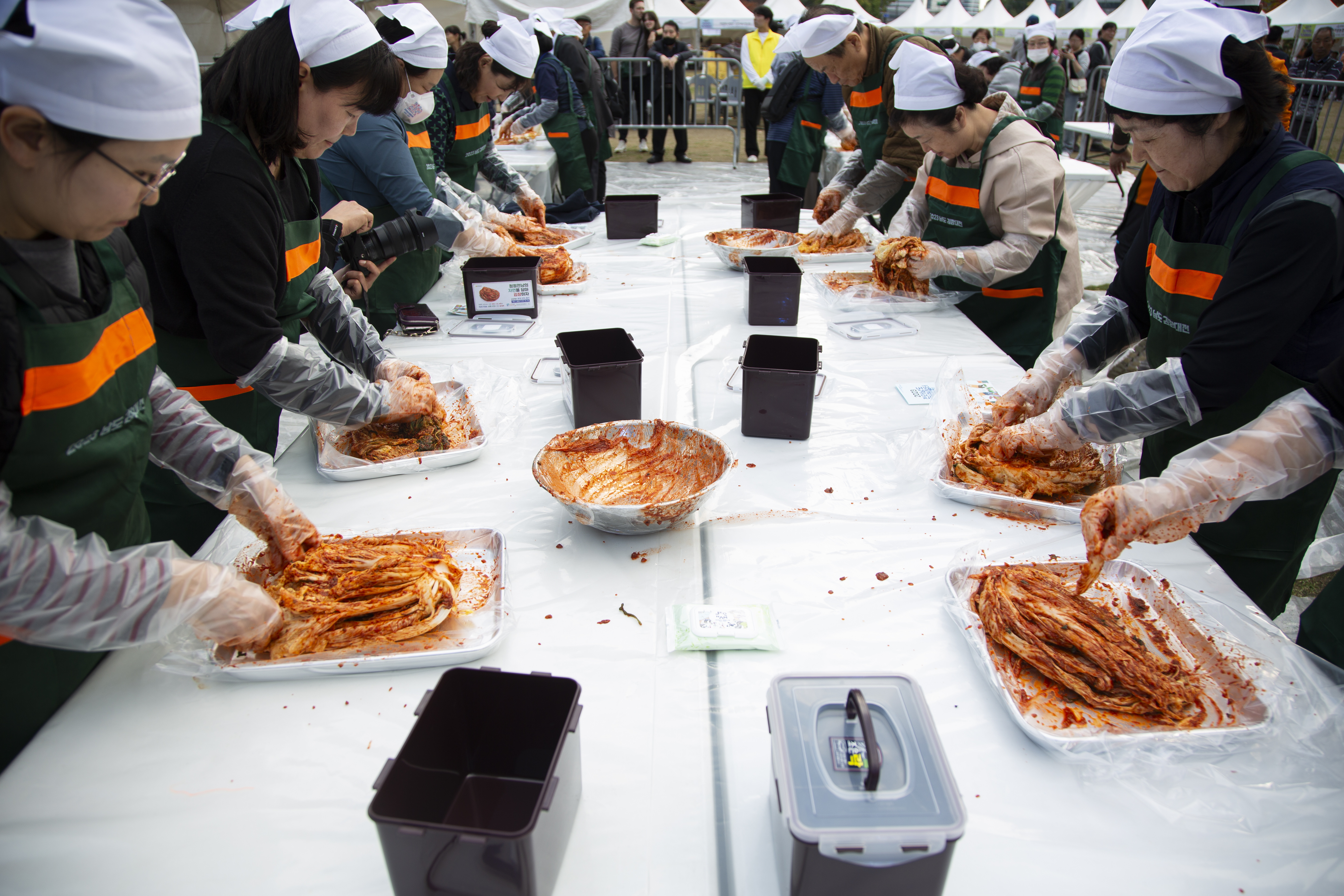 Korean traditional dish can help fight obesity and diabetes