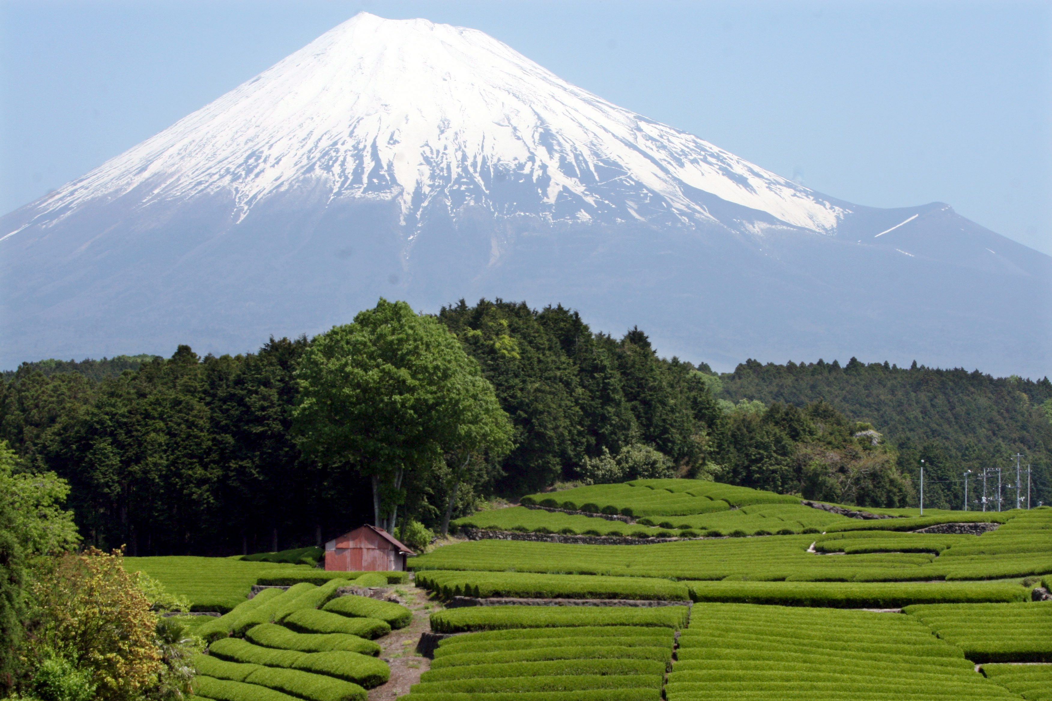 Japan will use a Chinese trolleybus to transport Mt.Fuji