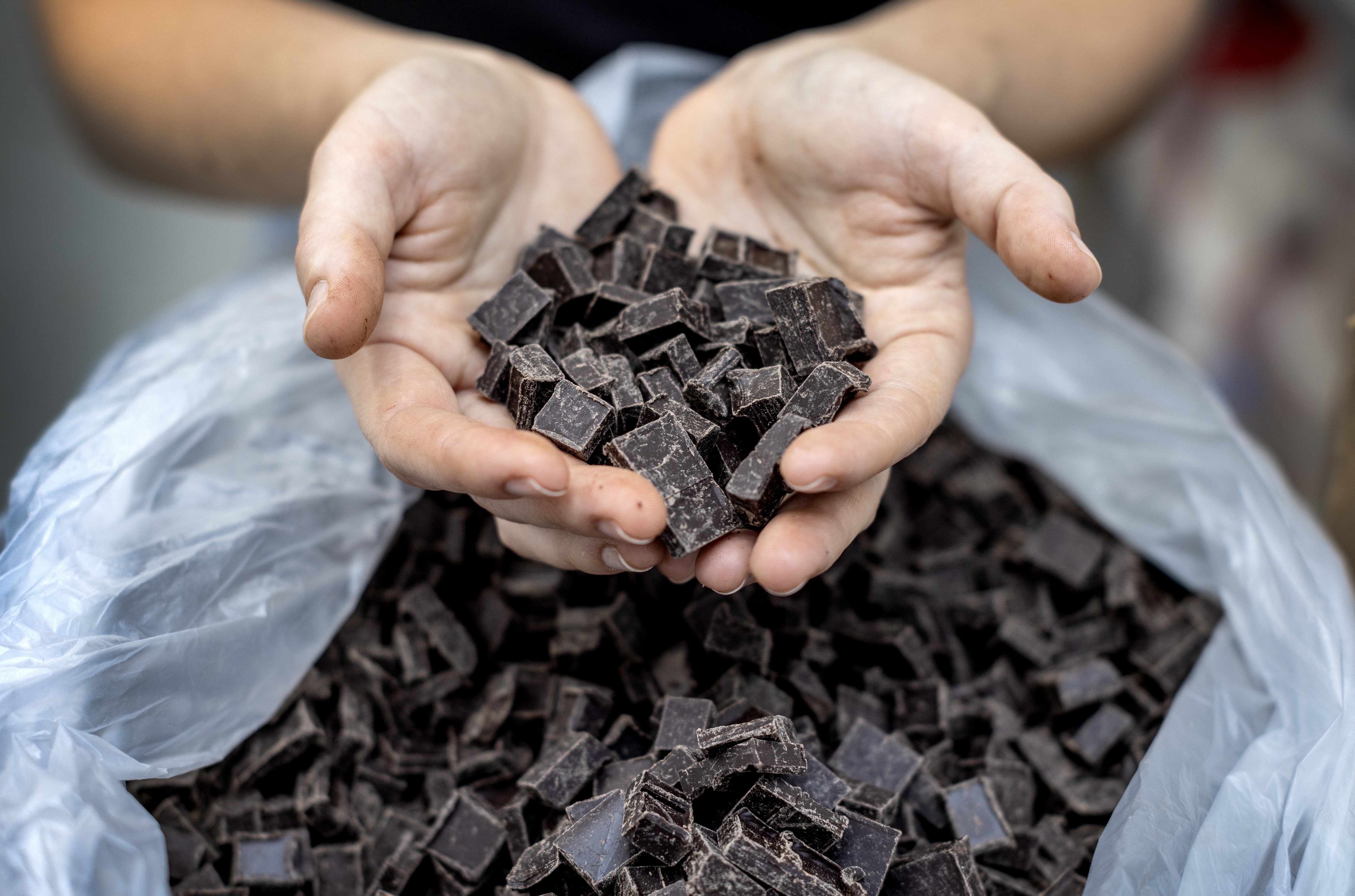 Dark chocolate may prevent type 2 diabetes