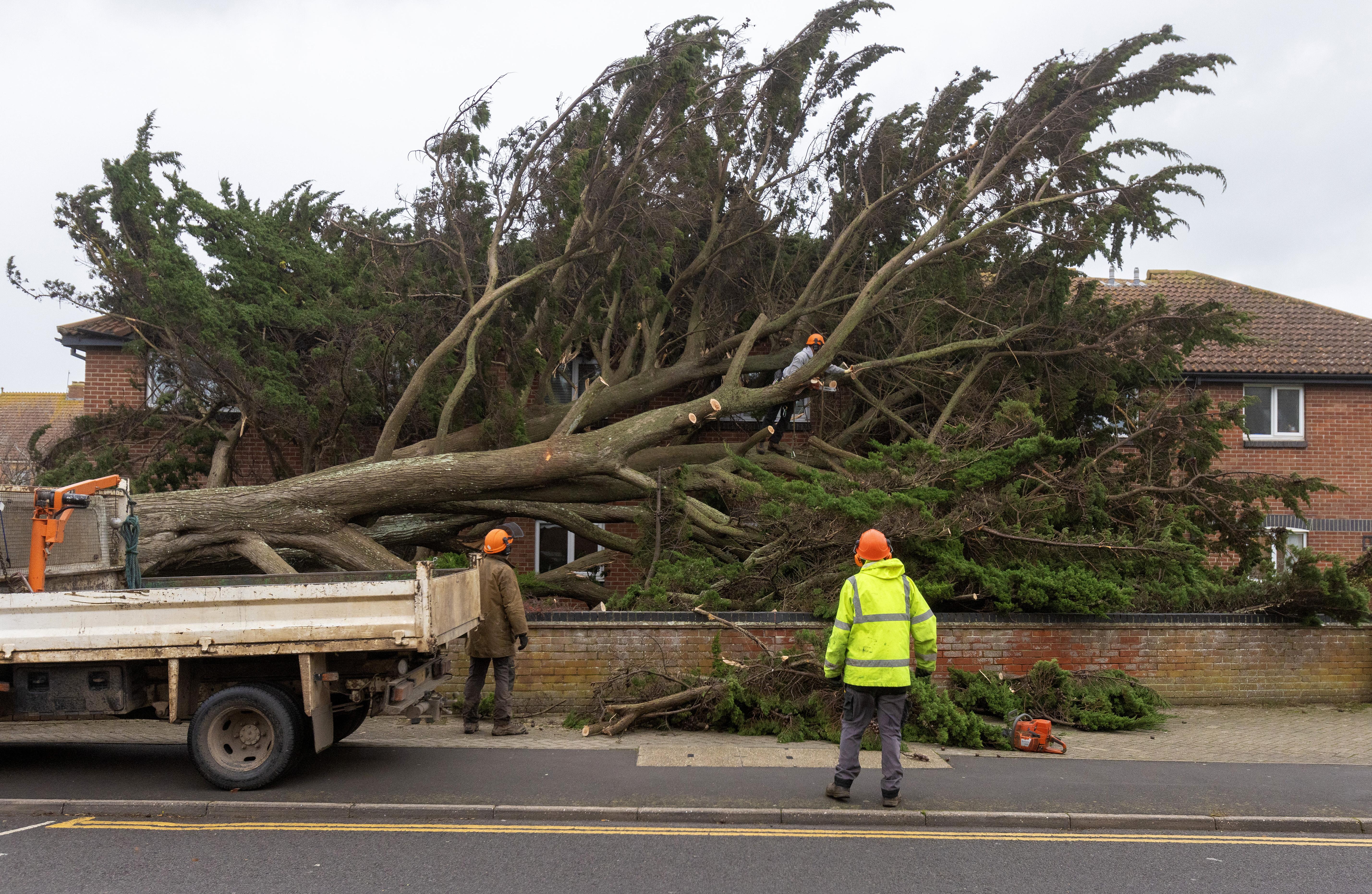 Storm Darragh leaves tens of thousands of homes without power in UK