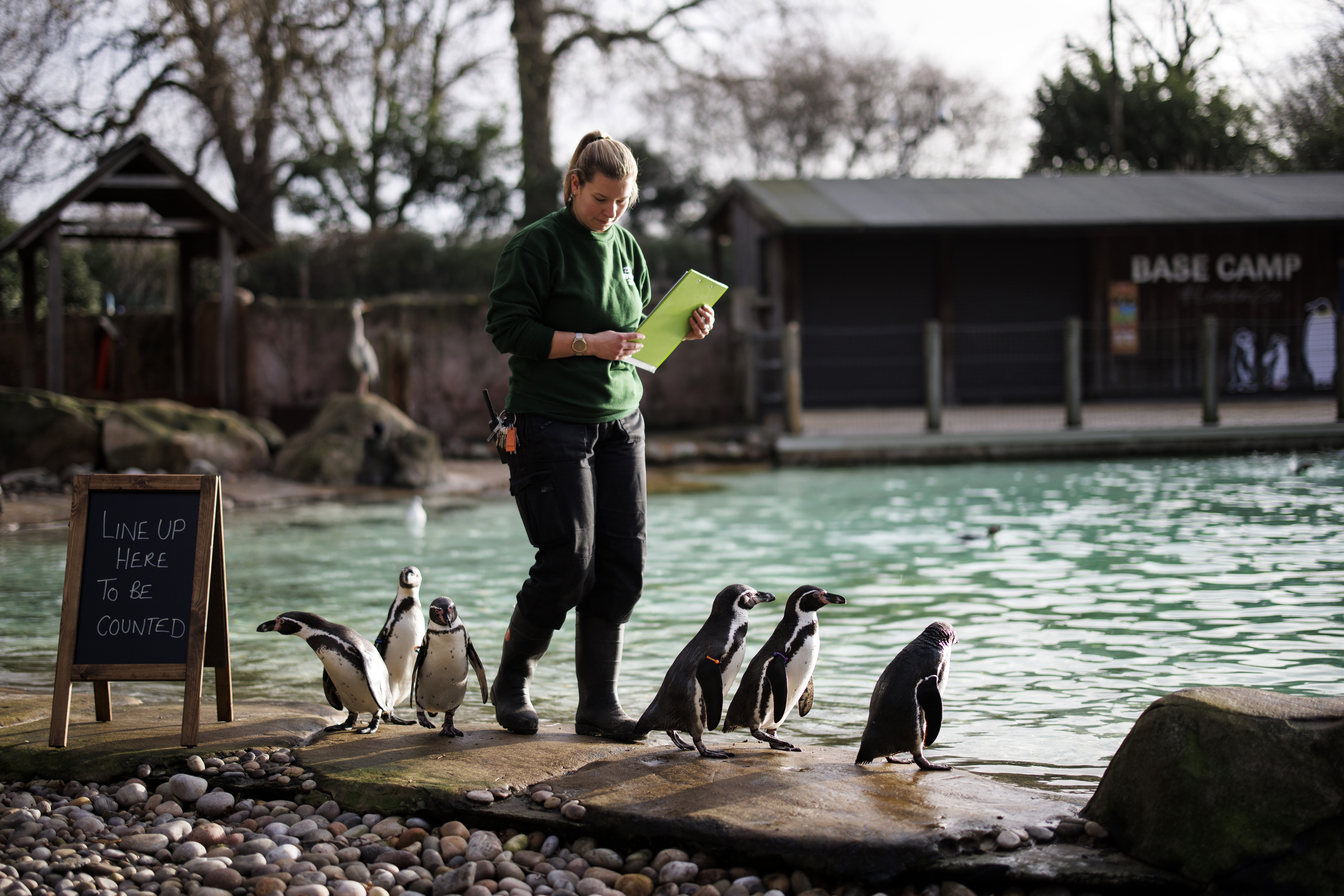 London Zoo counts its animals one by one every year