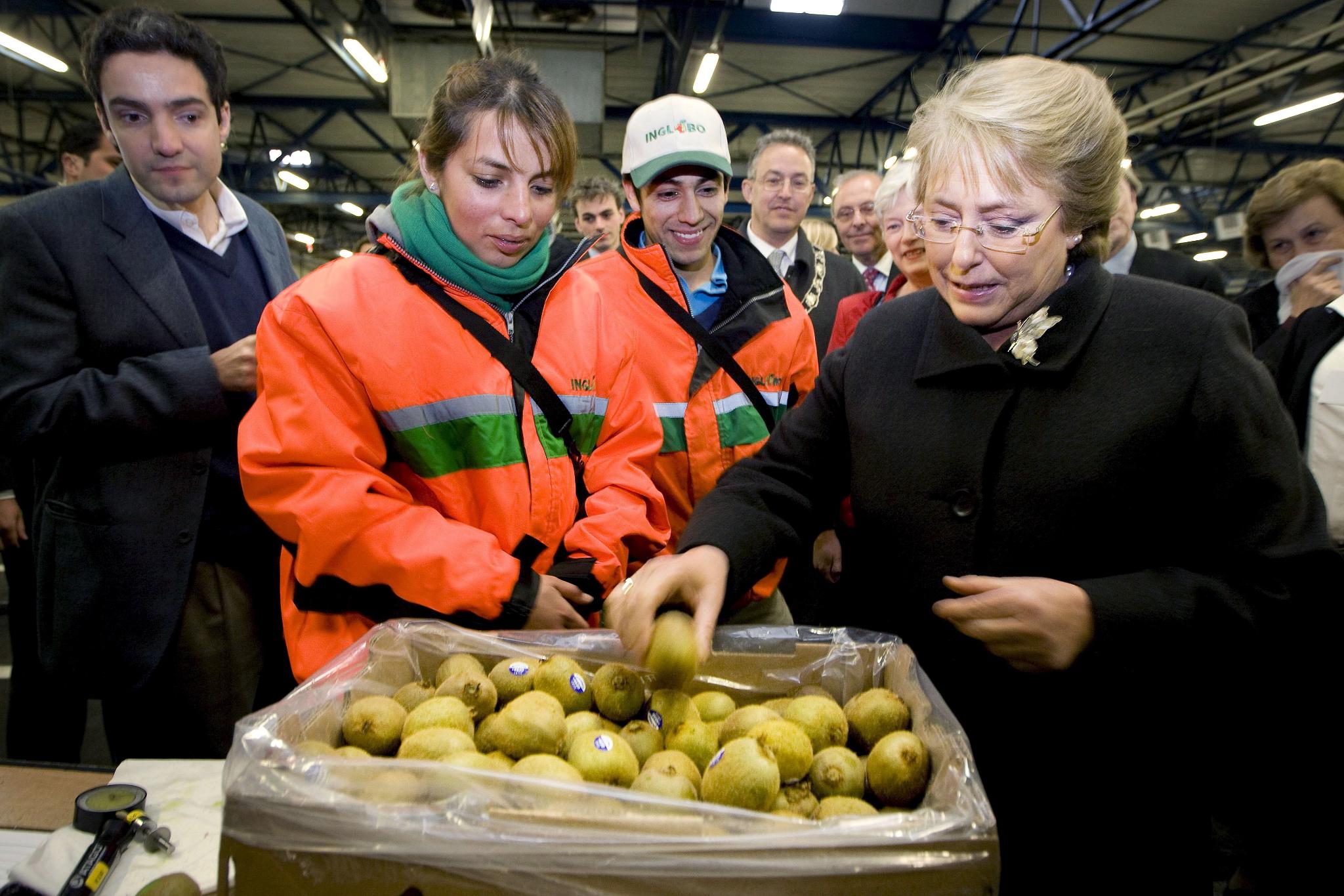 Kiwi consumption improves sleep quality and physical recovery