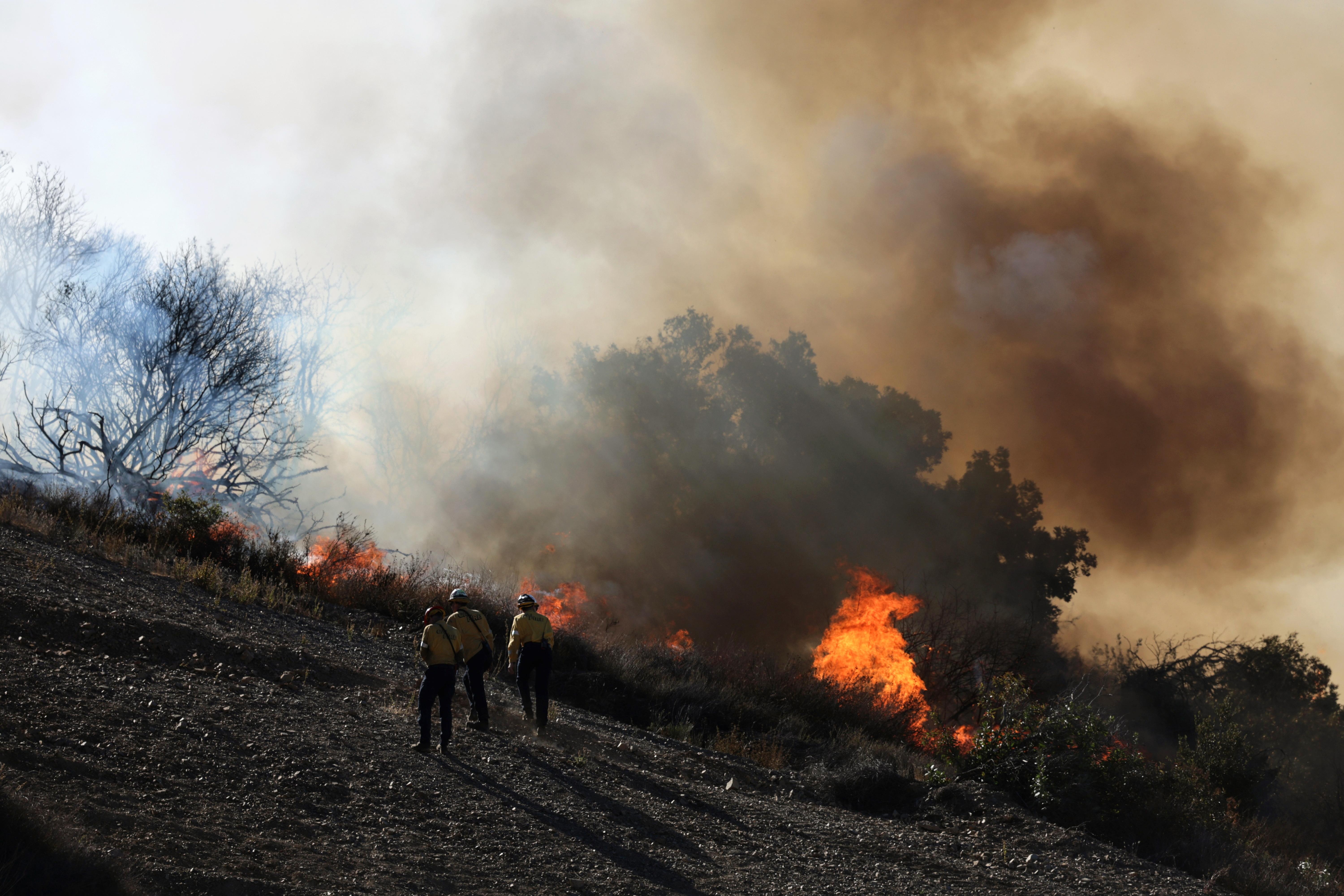 Mexico to send firefighters to help contain Los Angeles wildfire