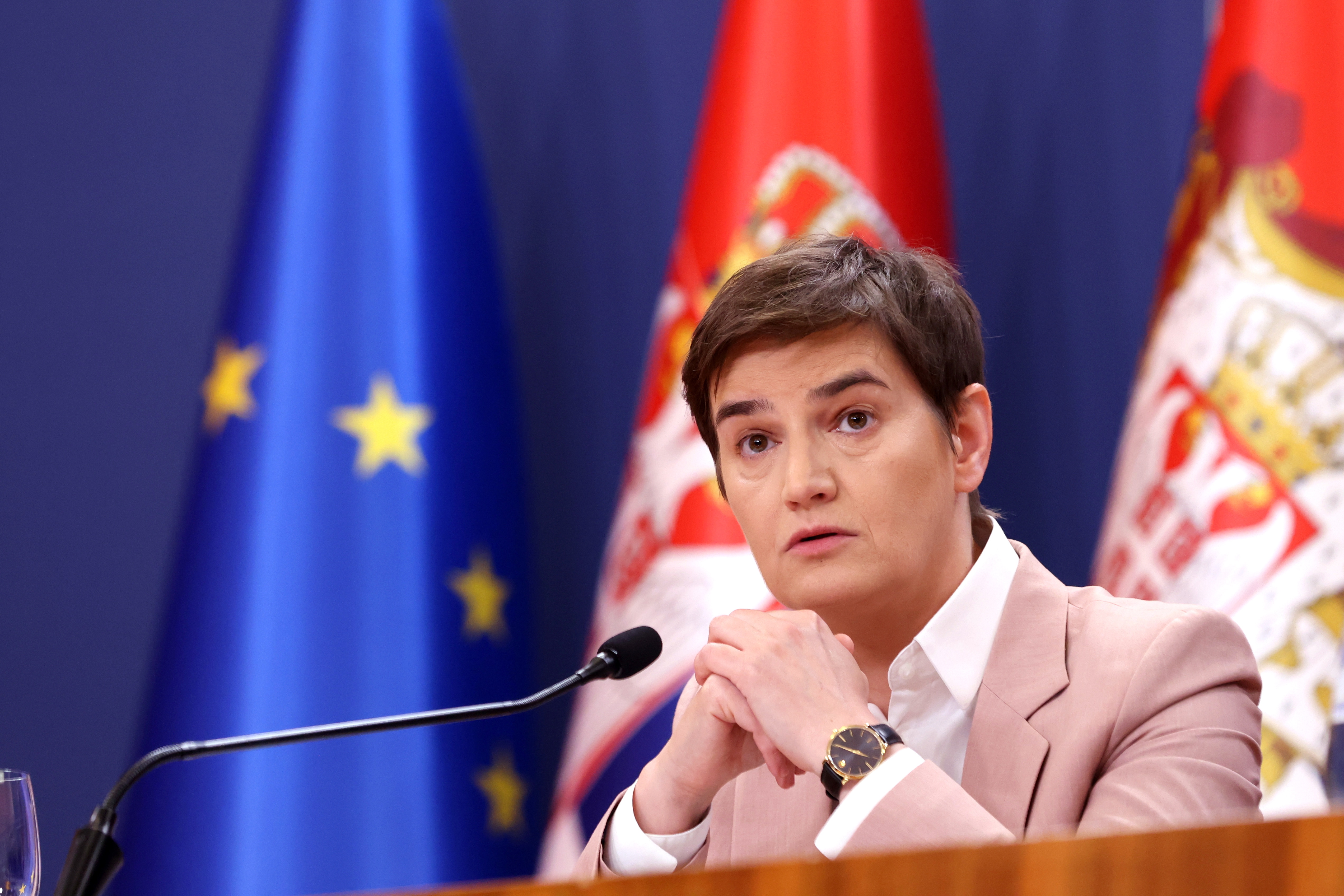 Brnabić: Holding elections is a democratic decision, parliamentary opposition has no legitimacy