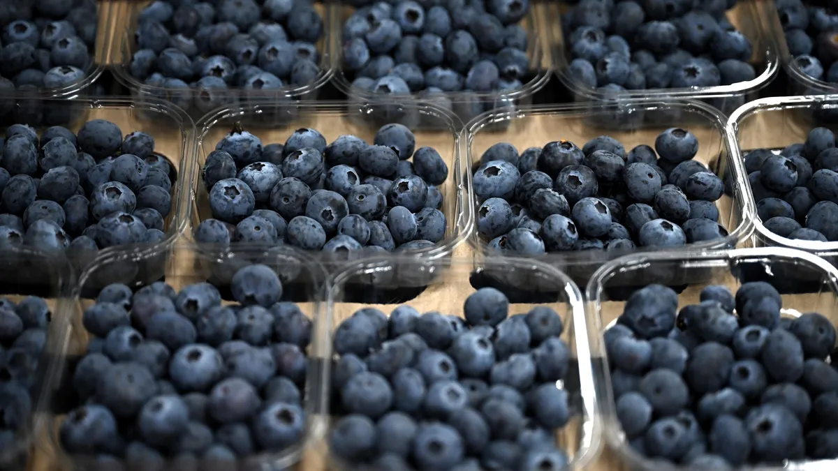 Blueberries - a natural assistant in the fight against aging