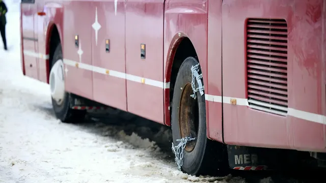 Bus with 30 Ukrainians crashed in Bulgaria